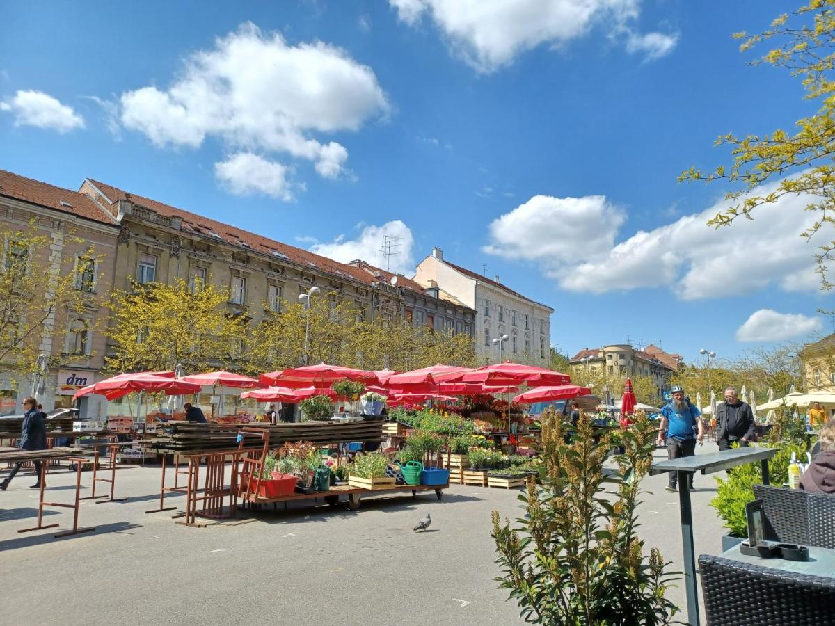 Apartment Calliope Загреб Екстериор снимка